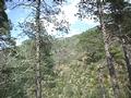 1-16_Vue_du_coin_picnic.JPG (640x480)