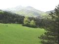 5-02_Un_pre_bien_vert_montagnes.jpg (640x480)