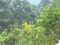 Le paysage