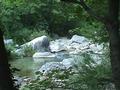 Le Loup