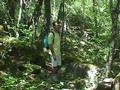 ZeChef in the woods