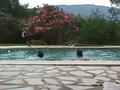 Max Stab Max piscine