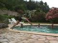 Coco plongeon