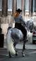 Cheval dress