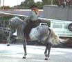 Cheval dress