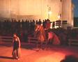 Danseuse, cheval