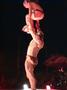 Diables Acrobates