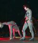 Acrobates