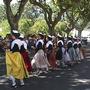 Dfil: provenales