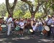 Dfil:              
                          tambourinaires