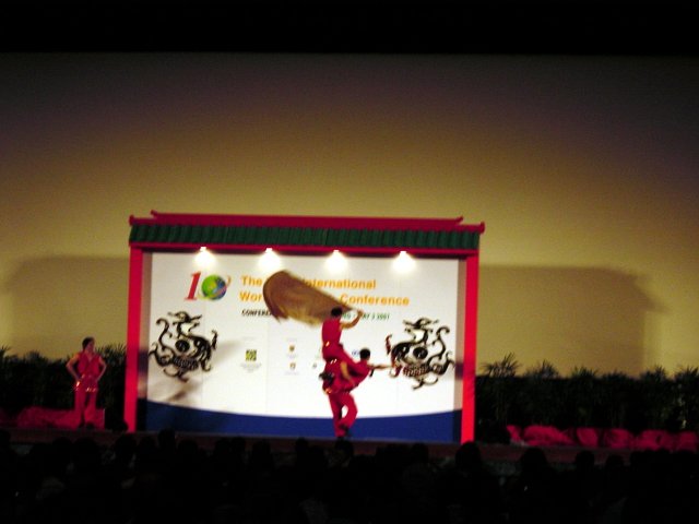 Dinner spectacle