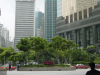 Trees and flowerbeds circled by scy-scrapers