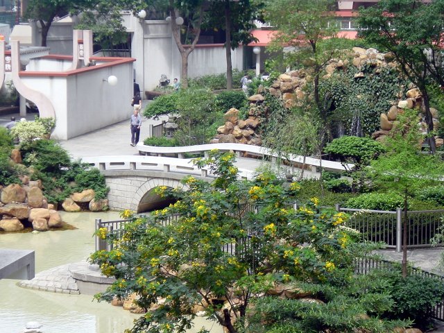 Bridge and pond of a chinese garden in town