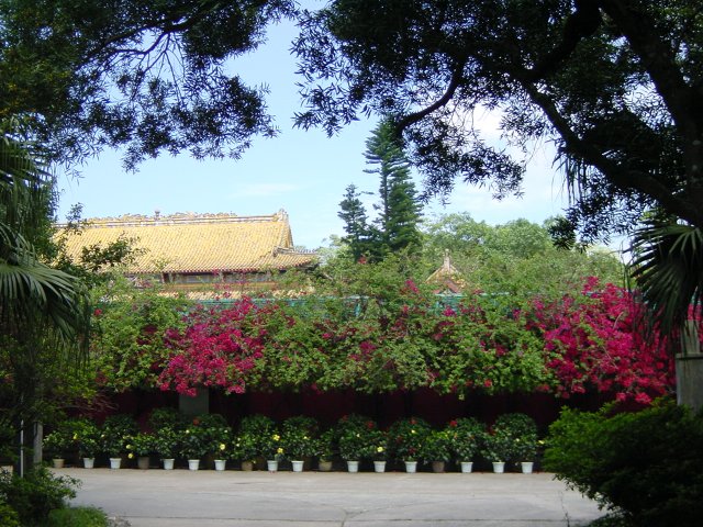 Golden roof