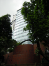Trees and building
