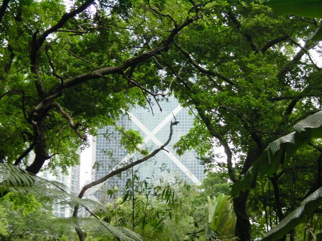 Building featuring a large X, showing through trees