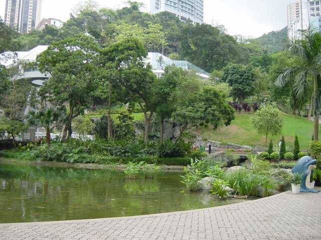 Pond in Hong Kong Park
