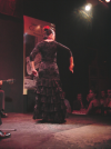 Danseuse de Flamenco