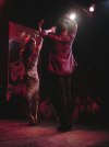 Danseurs Flamenco