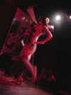 Danseuse Flamenco