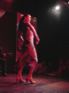 Danseuse Flamenco
