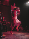 Danseuse Flamenco