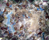 Peintures religieuses au plafond