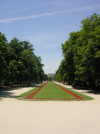 Parterre fleuri 