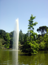 Jet d'eau sur un lac