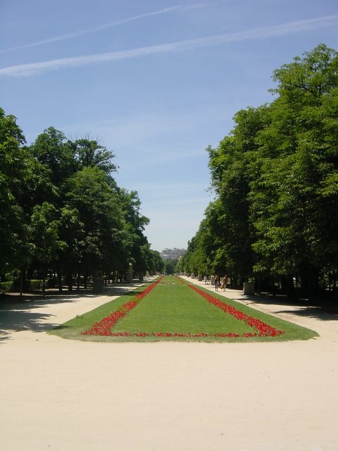 Parterre fleuri 