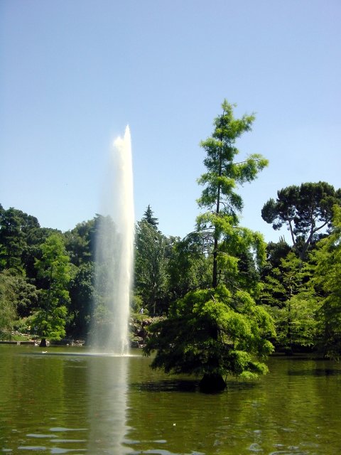 Jet d'eau sur un lac