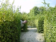 Click to see 20010822155422.jpg