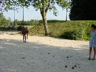 Click to see 20010825170836.jpg