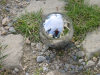 Reflection in a boule of me squatting