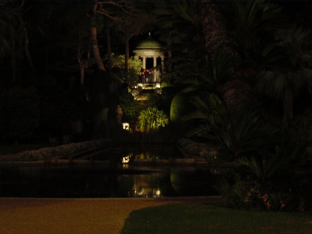 Illuminated garden