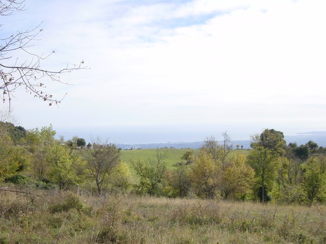 View on fields and shore, Nice-Antibes