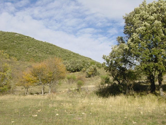 The area of Courmettes