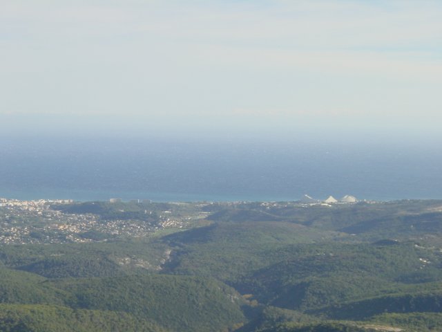 The Marina