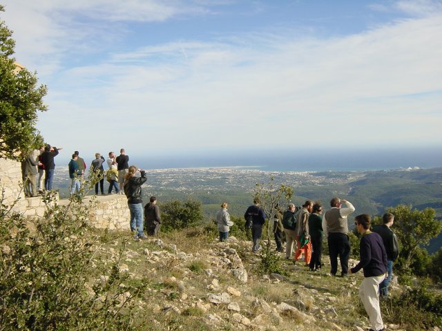 The group scattered to have a better look