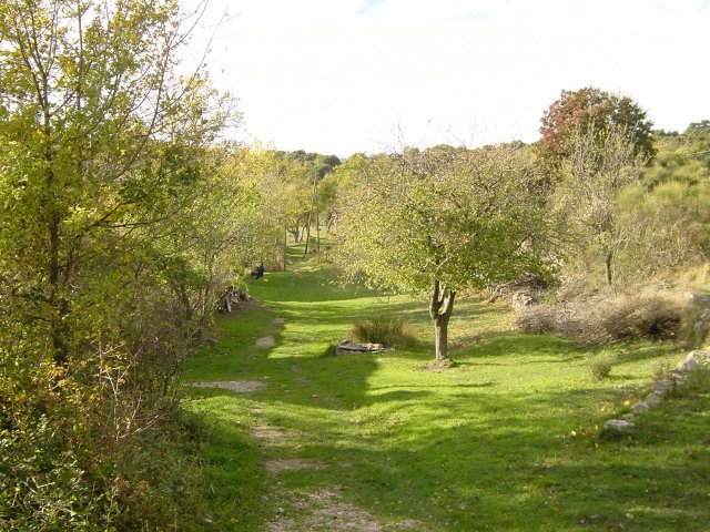 The path to Domaine de Courmettes, grass, gravel and trees