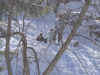 Deux enfants jouant avec la neige, adulte surveillant
