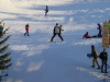 Pticul descendant en chasse-neige