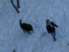 Chien suivant une fillette dans la neige pour jouer