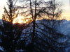 Soleil se couchant derriere des arbres et sur la montagne
