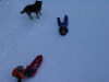 Enfants jouant dans la neige accompagnes d'un chien