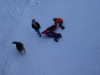 Enfants jouant dans la neige accompagnes d'un chien