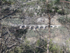 Pont vu a travers des branchages