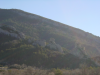 Flanc de montagne: rochers et arbres