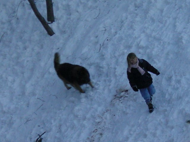 Chien suivant une fillette dans la neige pour jouer