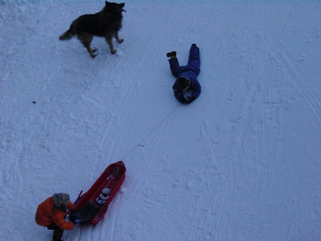 Enfants jouant dans la neige accompagnes d'un chien